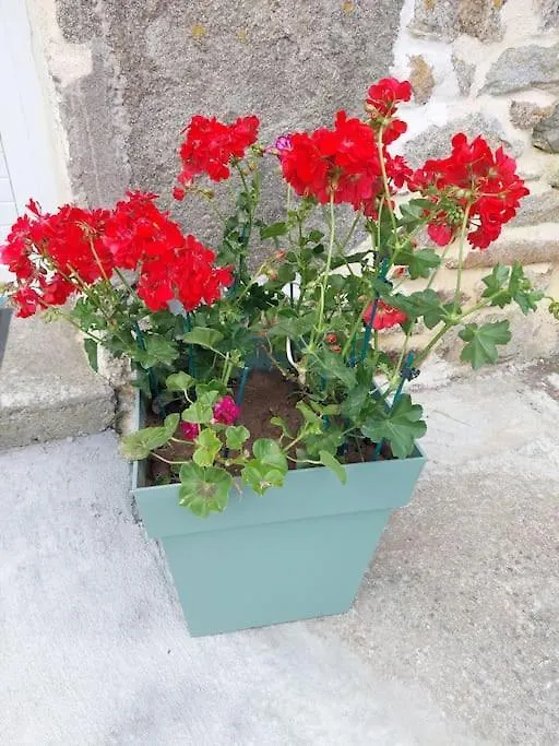 Gite Kerlosvezan, A La Campagne, Proche Mer Lampaul-Ploudalmezeau 0*,  France